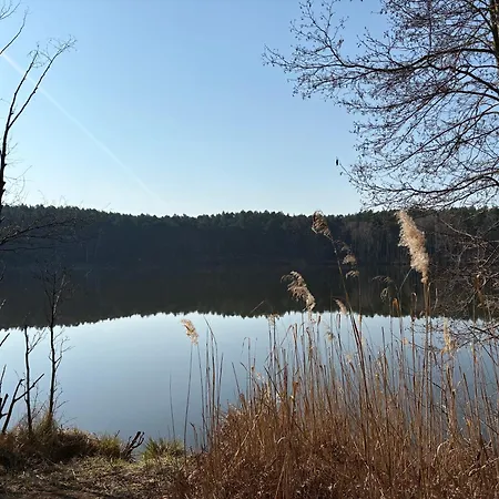 Alte Schmiede بيت للعطل *