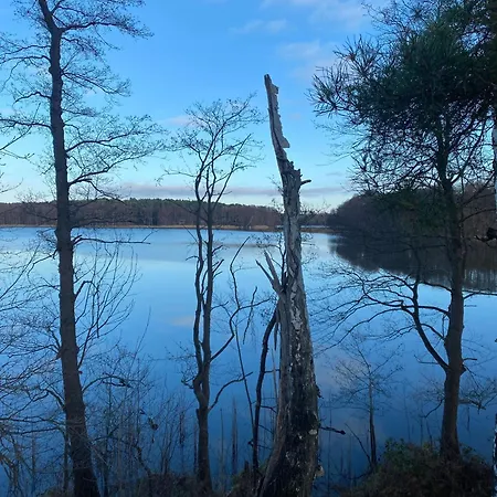 Alte Schmiede Сasa de vacaciones Schwielochsee