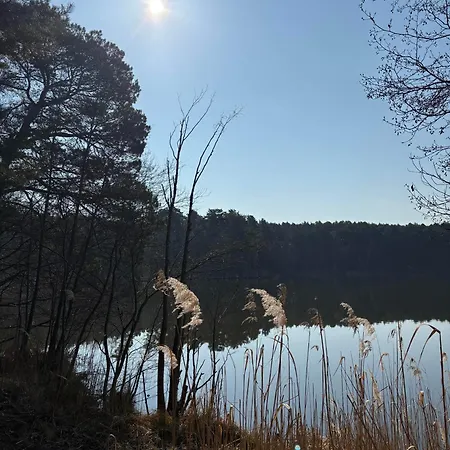Alte Schmiede Schwielochsee