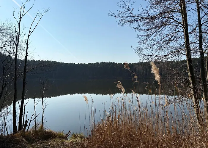 Alte Schmiede 度假居 *